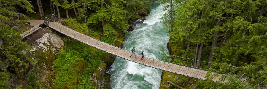 bridge